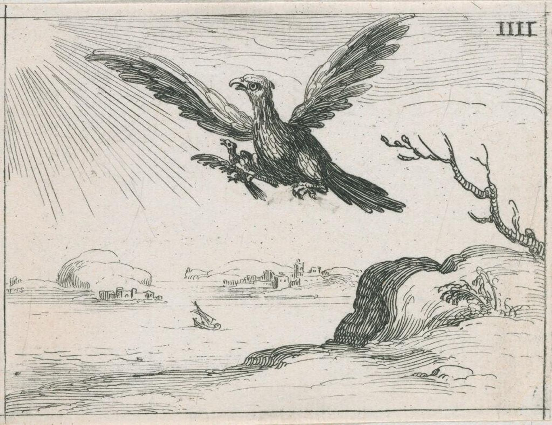Eagle and Eaglet by Jacques Callot