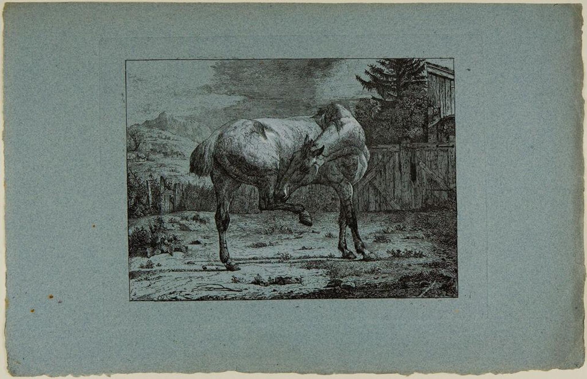 Mare in a Stable Yard by Albrecht Adam