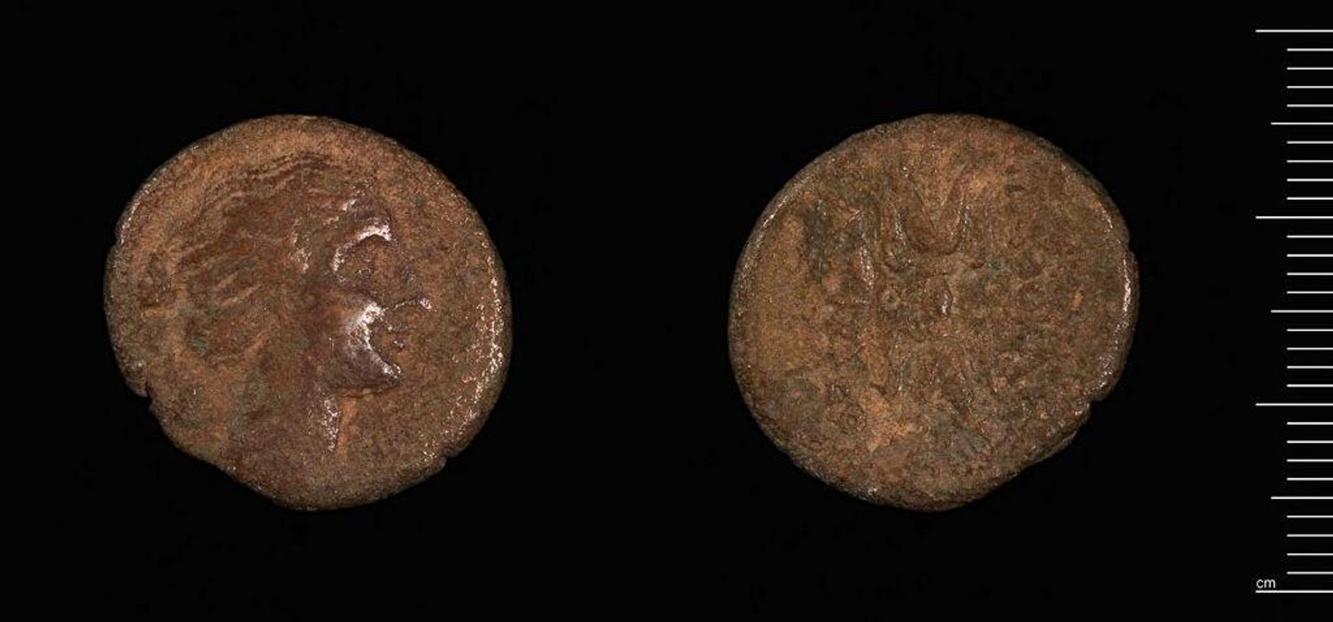 Coin of Agathokles, Tyrant of Syracuse by Agathokles of Syracuse