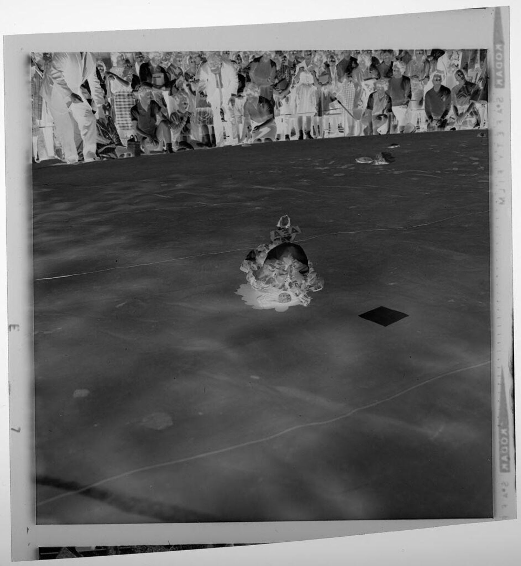 Untitled (large crowd watching turtle race on lawn) by Jack Gould