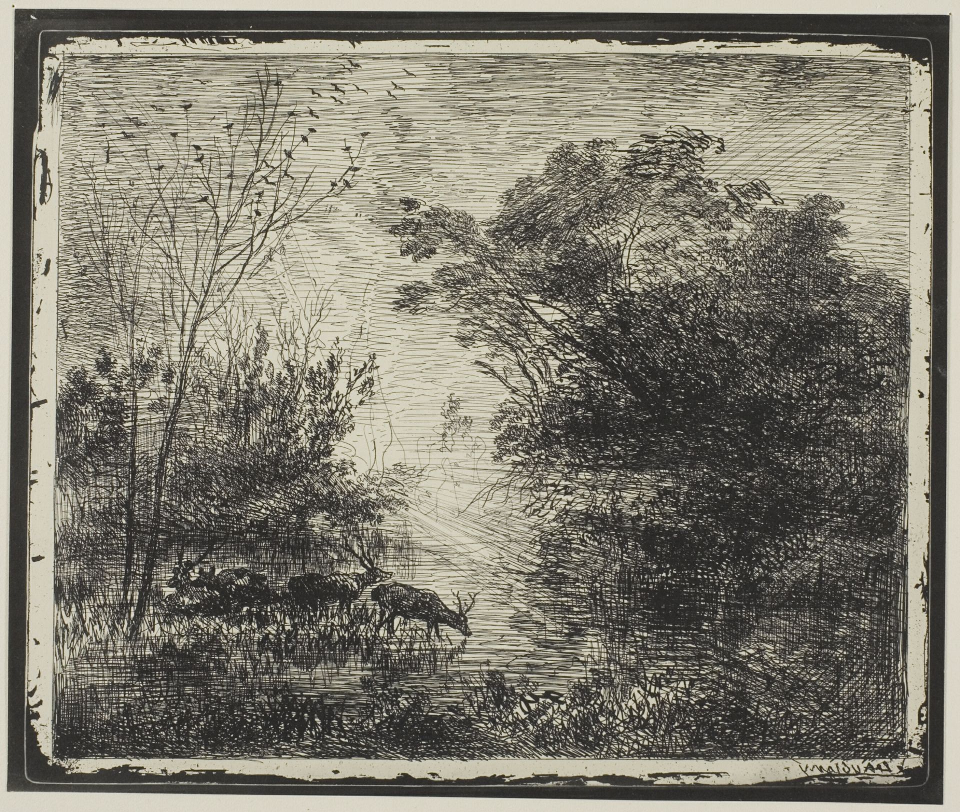 Stags by Charles François Daubigny
