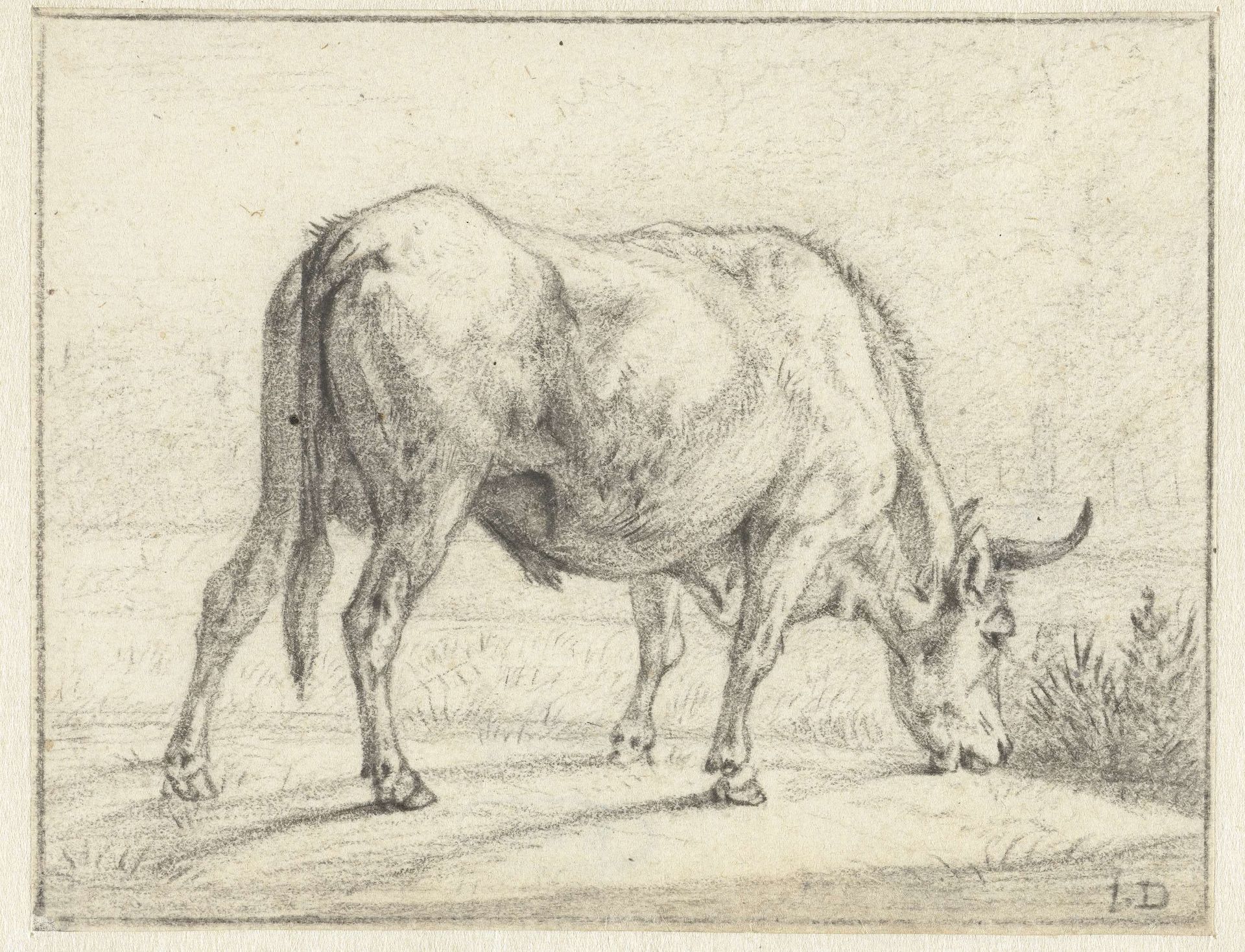 Grazende stier by Jan Dasveldt