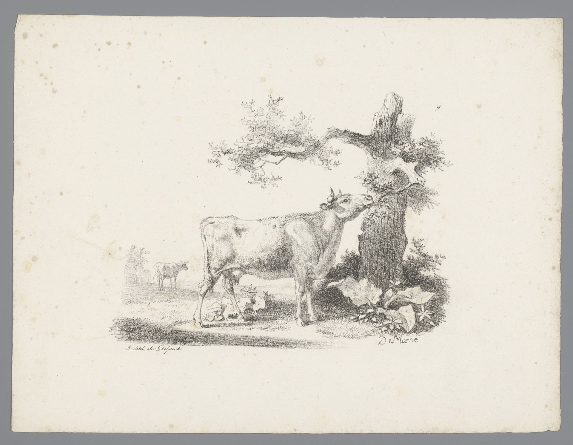 Rund eet van een boom by Jean Louis Demarne