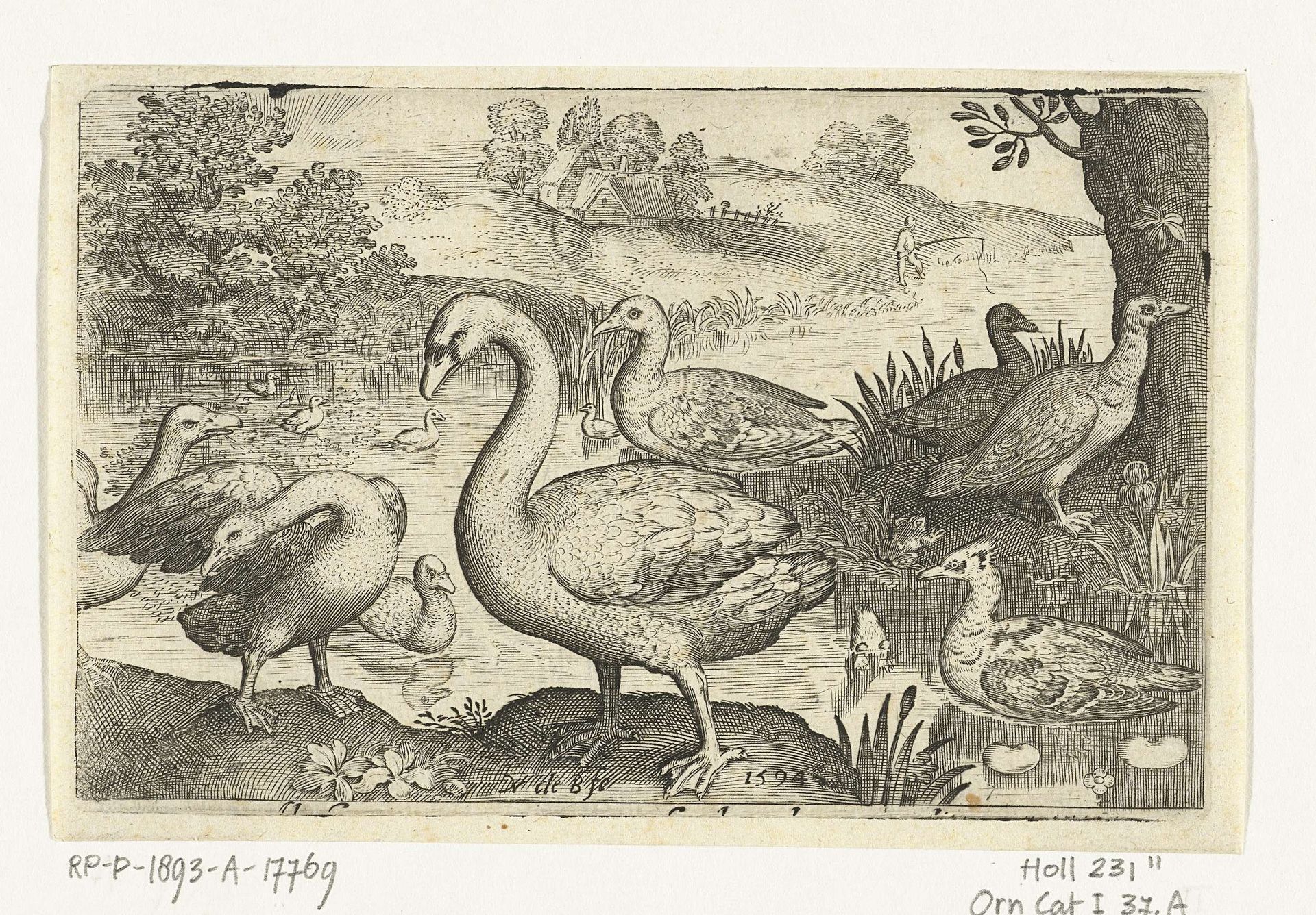 Zwaan en ganzen en eenden bij water by Nicolaes de Bruyn