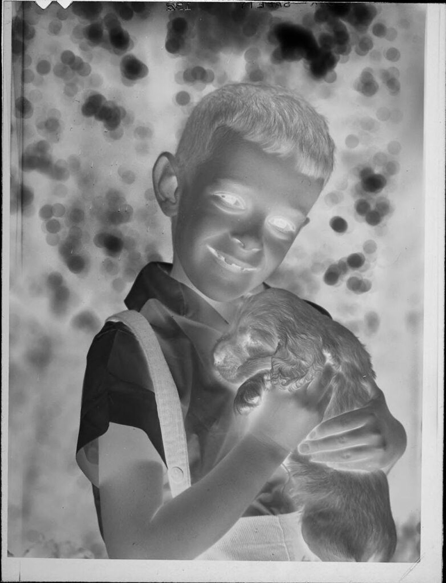 Untitled (little boy holding puppy) by Lucian and Mary Brown