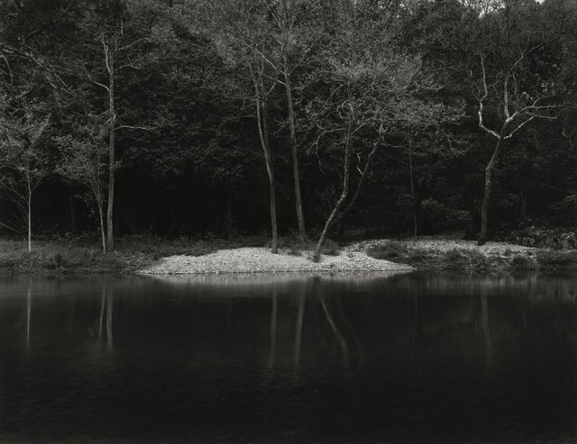 Untitled by Sally Mann