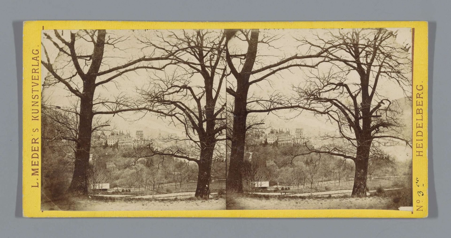 Gezicht op Heidelberg by L. Meder