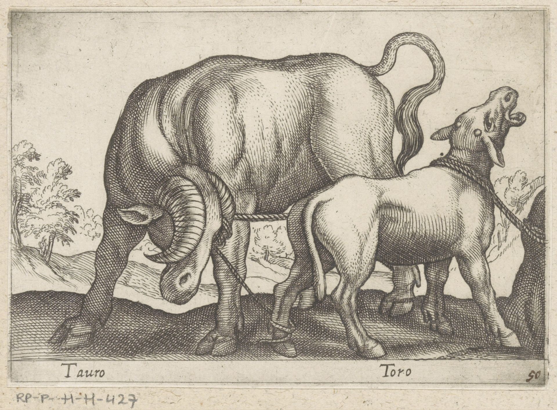 Volwassen en een jonge stier by Antonio Tempesta