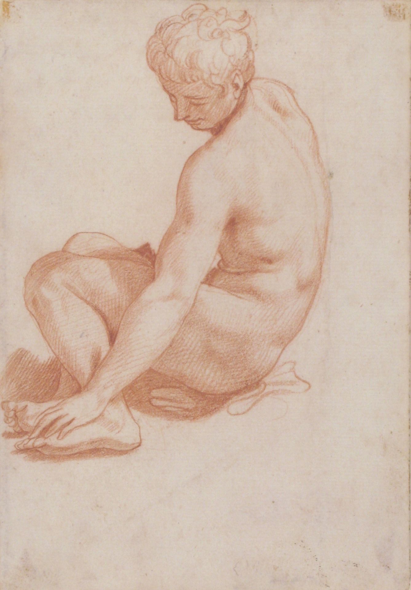 Seated Male Nude by Francesco de' Rossi (Francesco Salviati), "Cecchino"