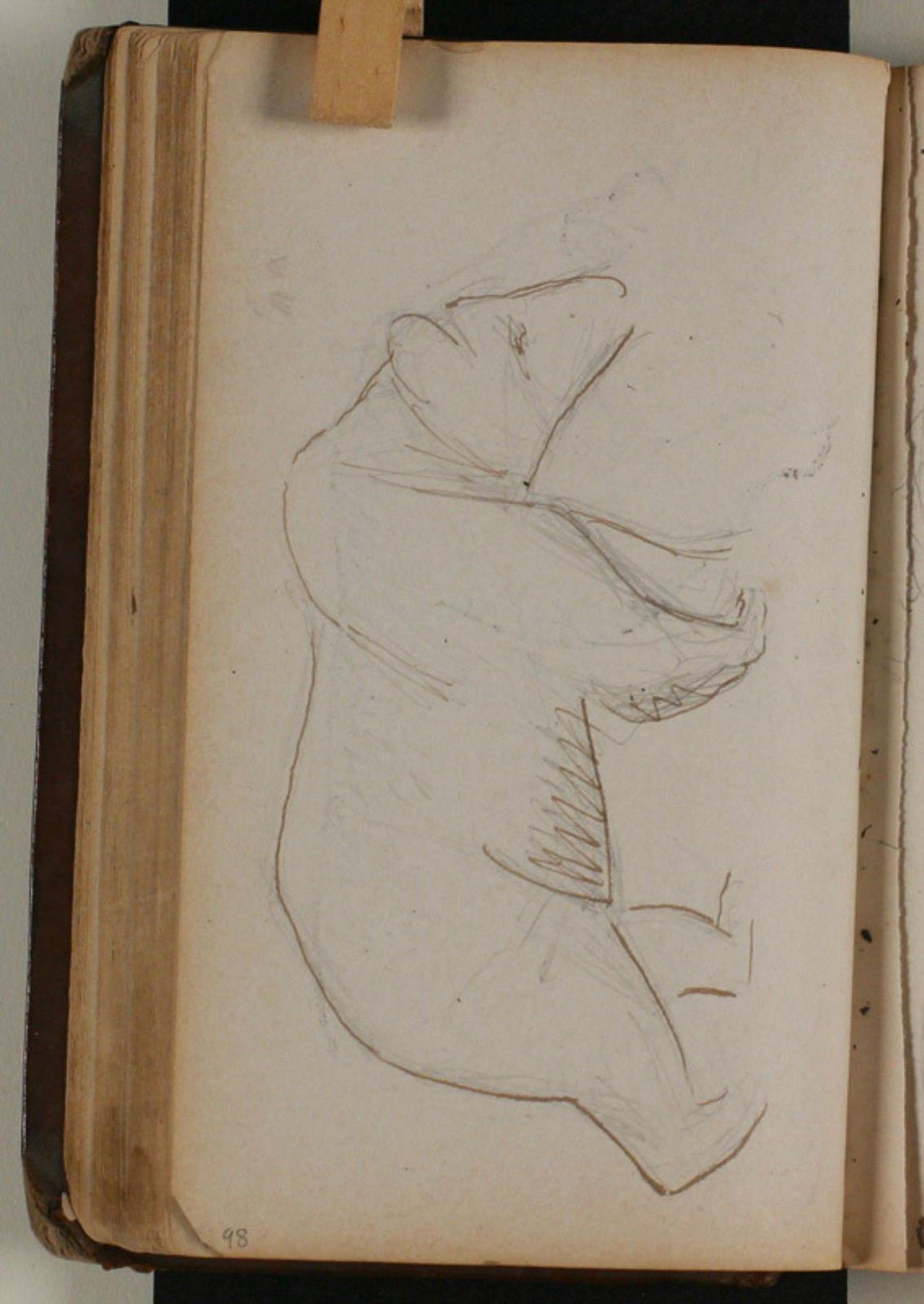 Studie af brun bjørn by Niels Larsen Stevns