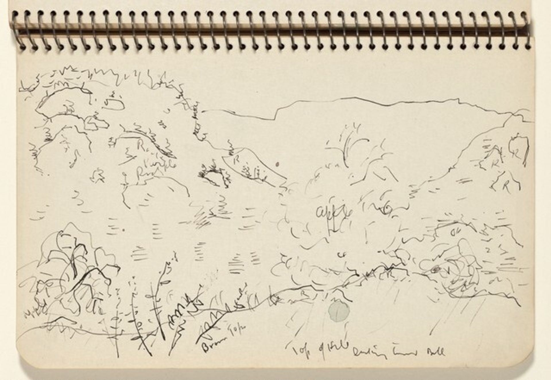 View of Ball Mountain by Milton Avery