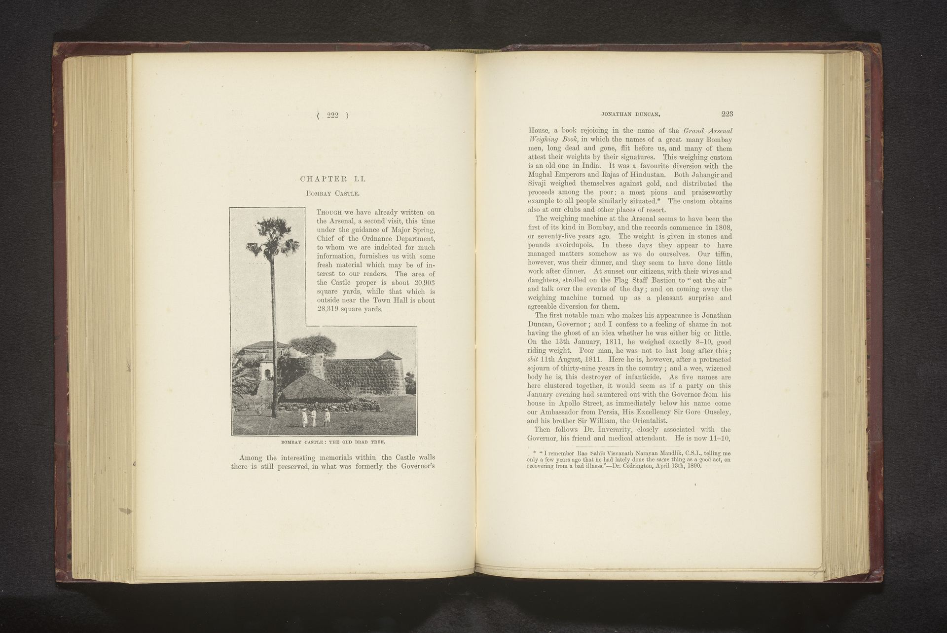 Bombay Castle: the old brab tree by Anonymous