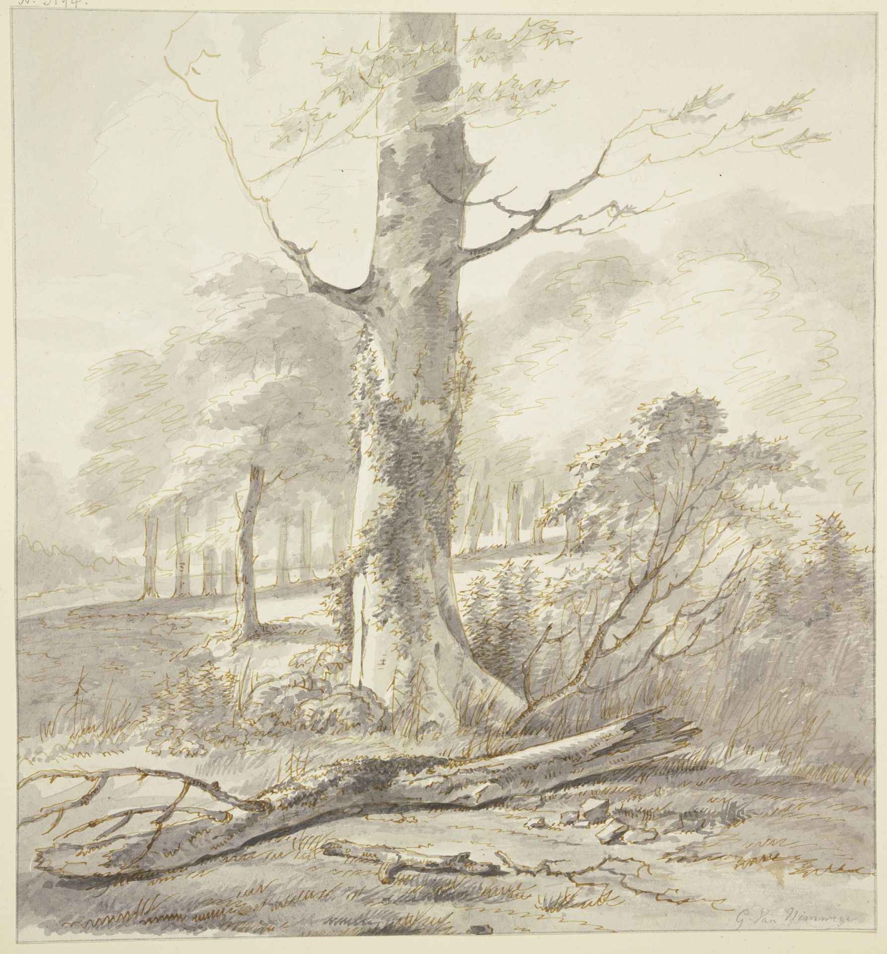 Buchenstamm am Waldrand, davor ein abgefallener Ast by Gerard van Nijmegen