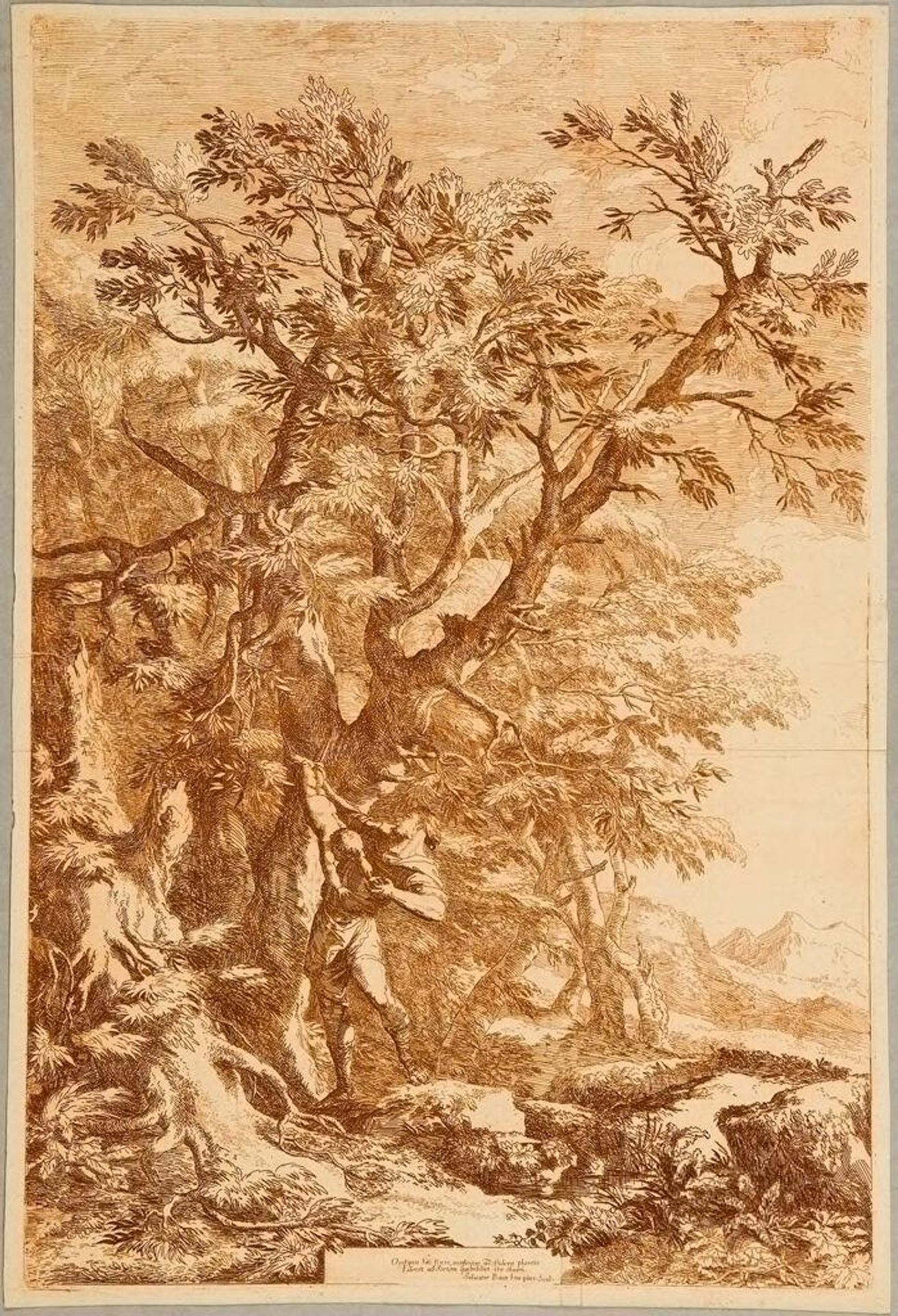 Finding of Oedipus by Salvator Rosa