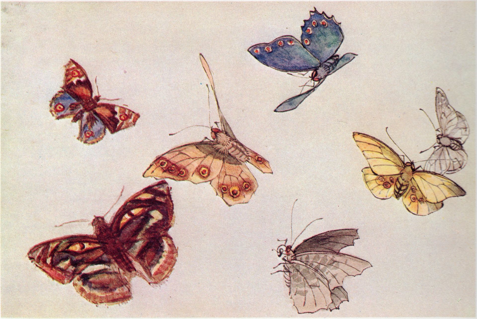 From the Notebooks Mourning for Butterflies by Fujishima Takeji