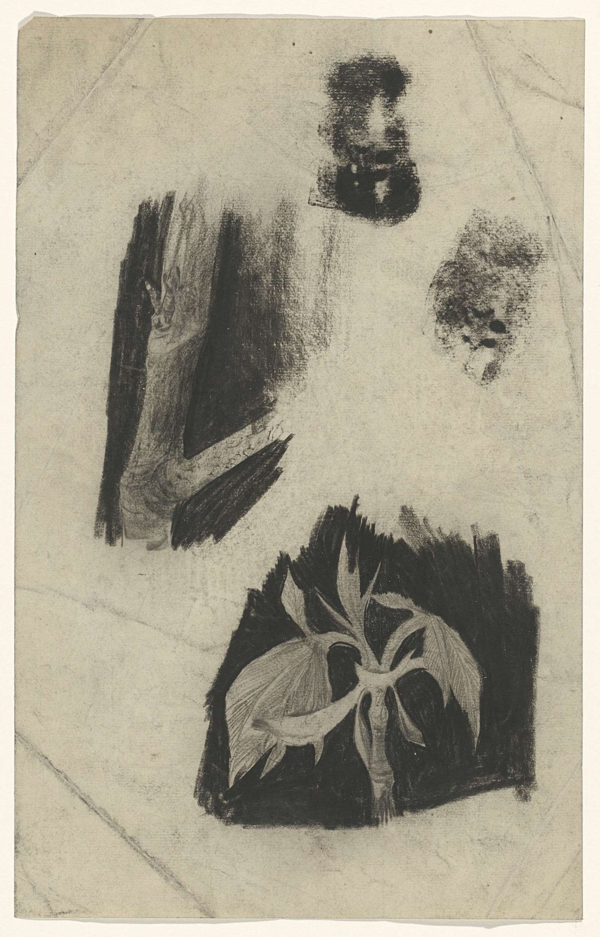 Studie van een blad en een takje by Carel Adolph Lion Cachet