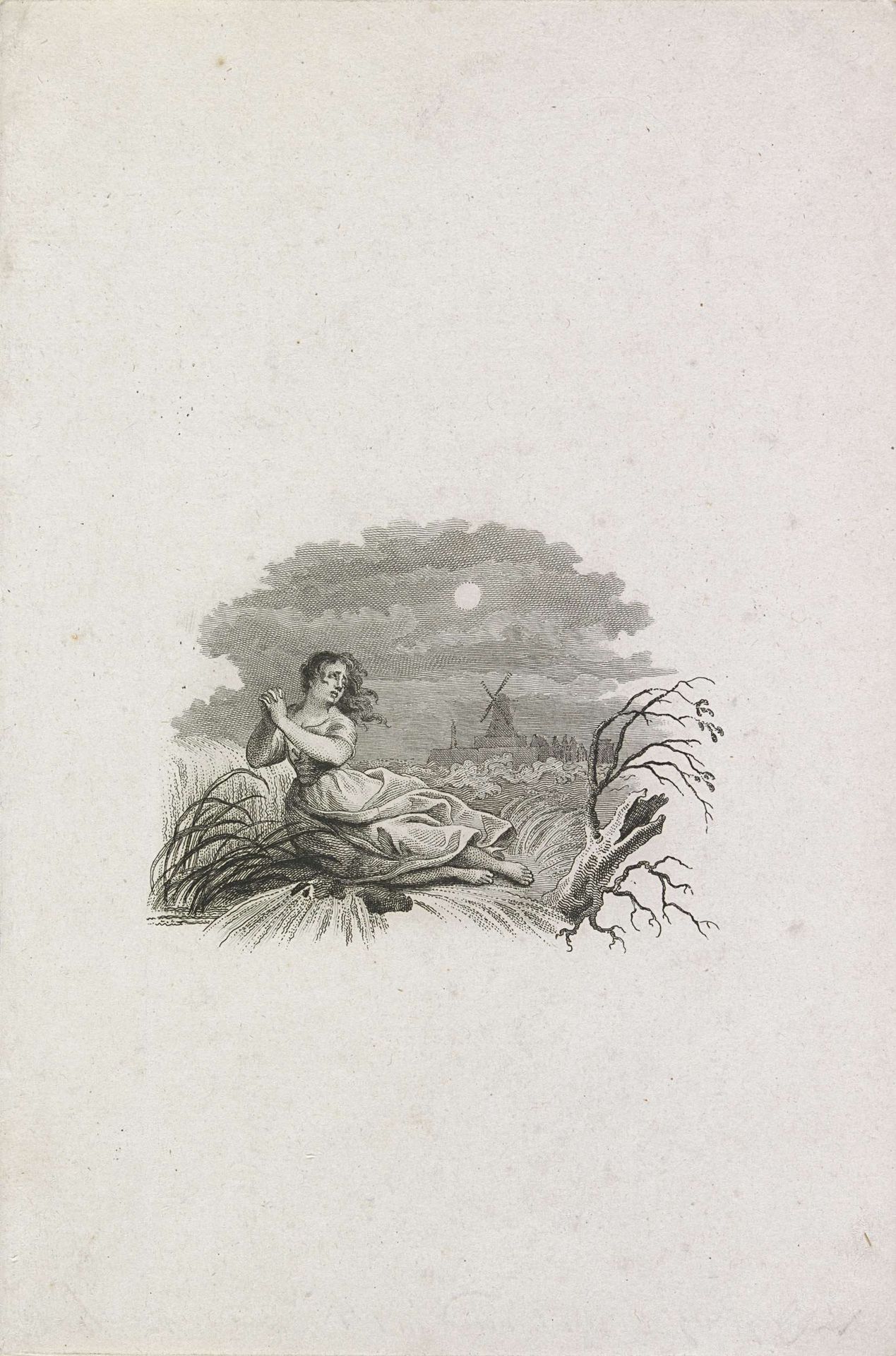 Titelplaat voor S. Hoek: Natuur- en geschiedkundige beschrijving van den verschrikkelijken watervloed tusschen den XIVden en XVden van louwmaand des jaars MDCCCVIII, 1808 by Reinier Vinkeles