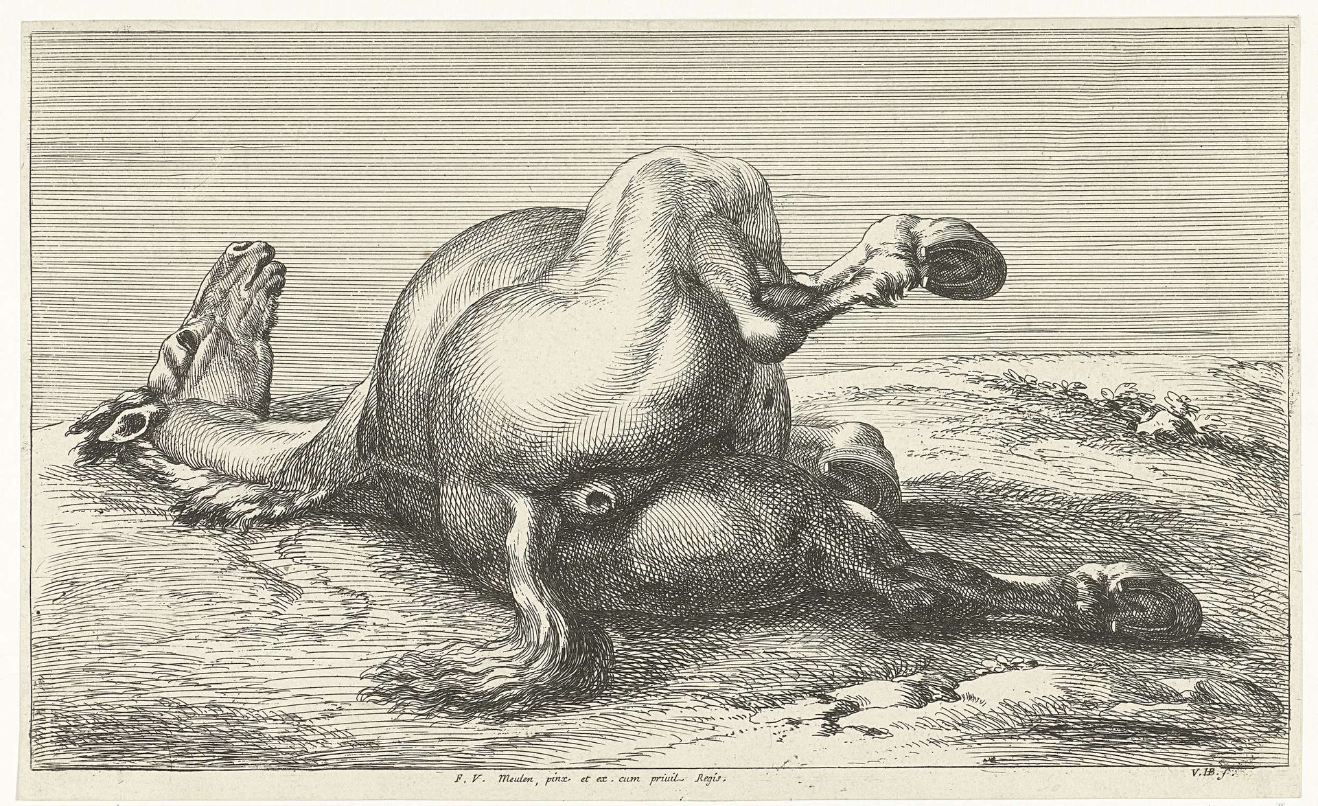 Gesneuveld paard by Jan van Huchtenburg
