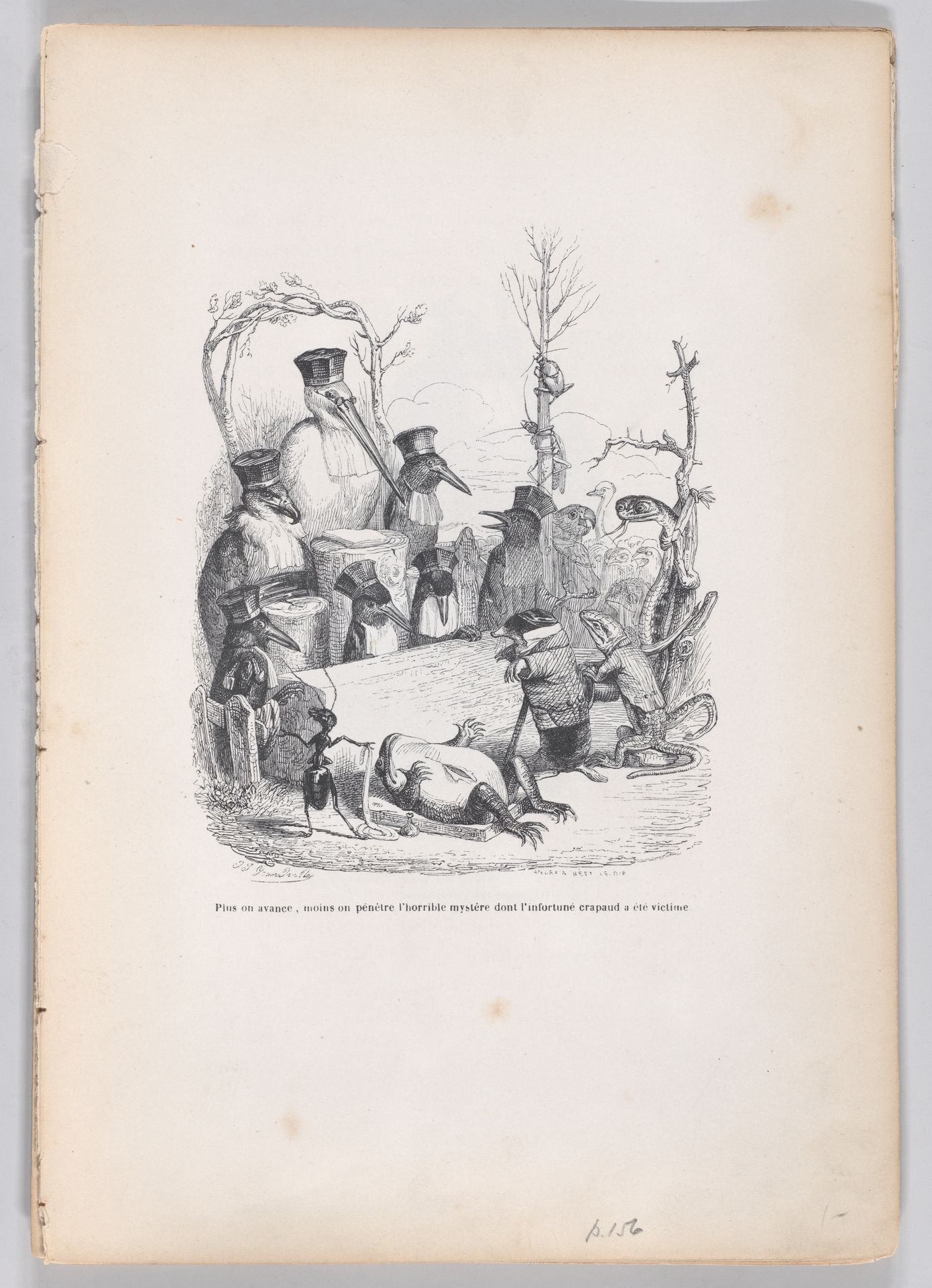 "The further we go, the less we penetrate the horrible mystery of which the unfortunate toad was a victim" from Scenes from the Private and Public Life of Animals by J. J. Grandville