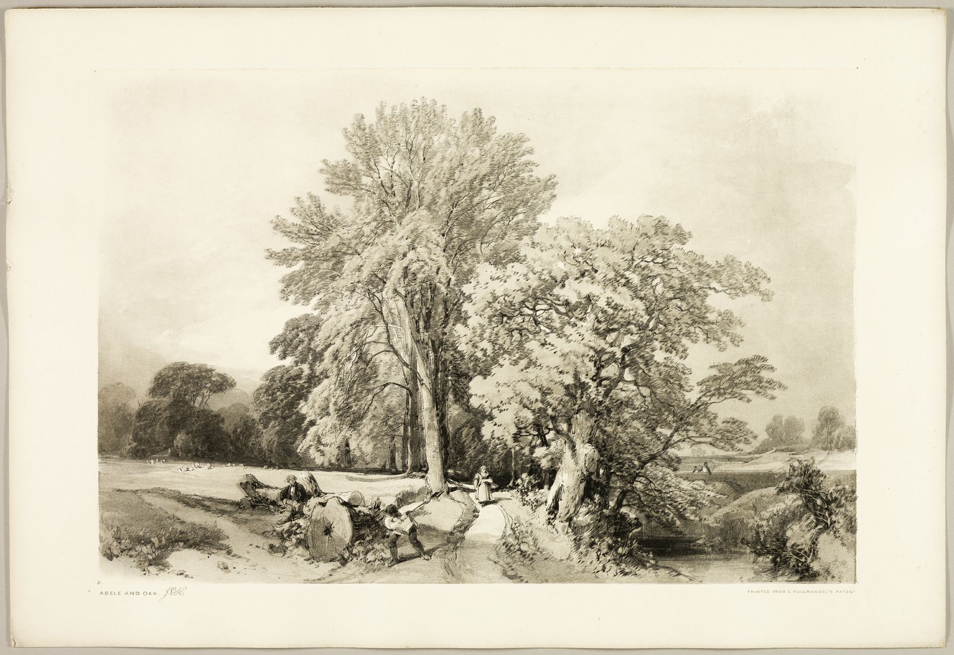 Abele and Oak, from The Park and the Forest by James Duffield Harding