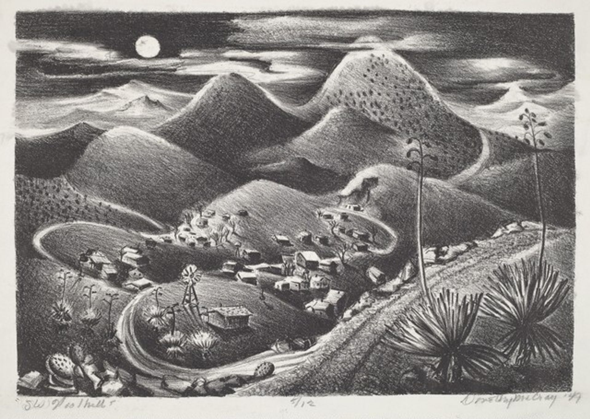 Southwest Foothills by Dorothy Westaby McCray