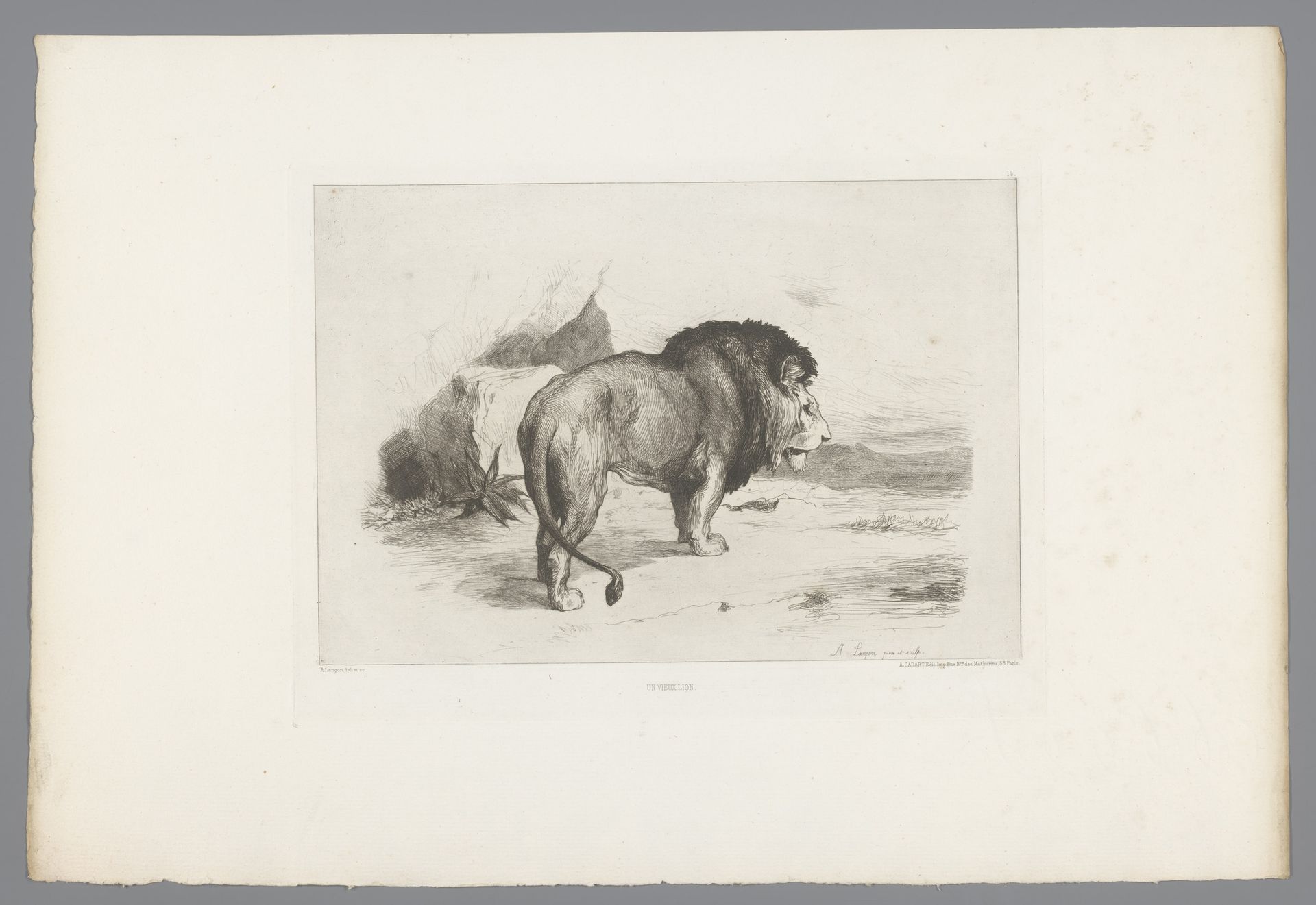 Leeuw by Auguste André Lançon