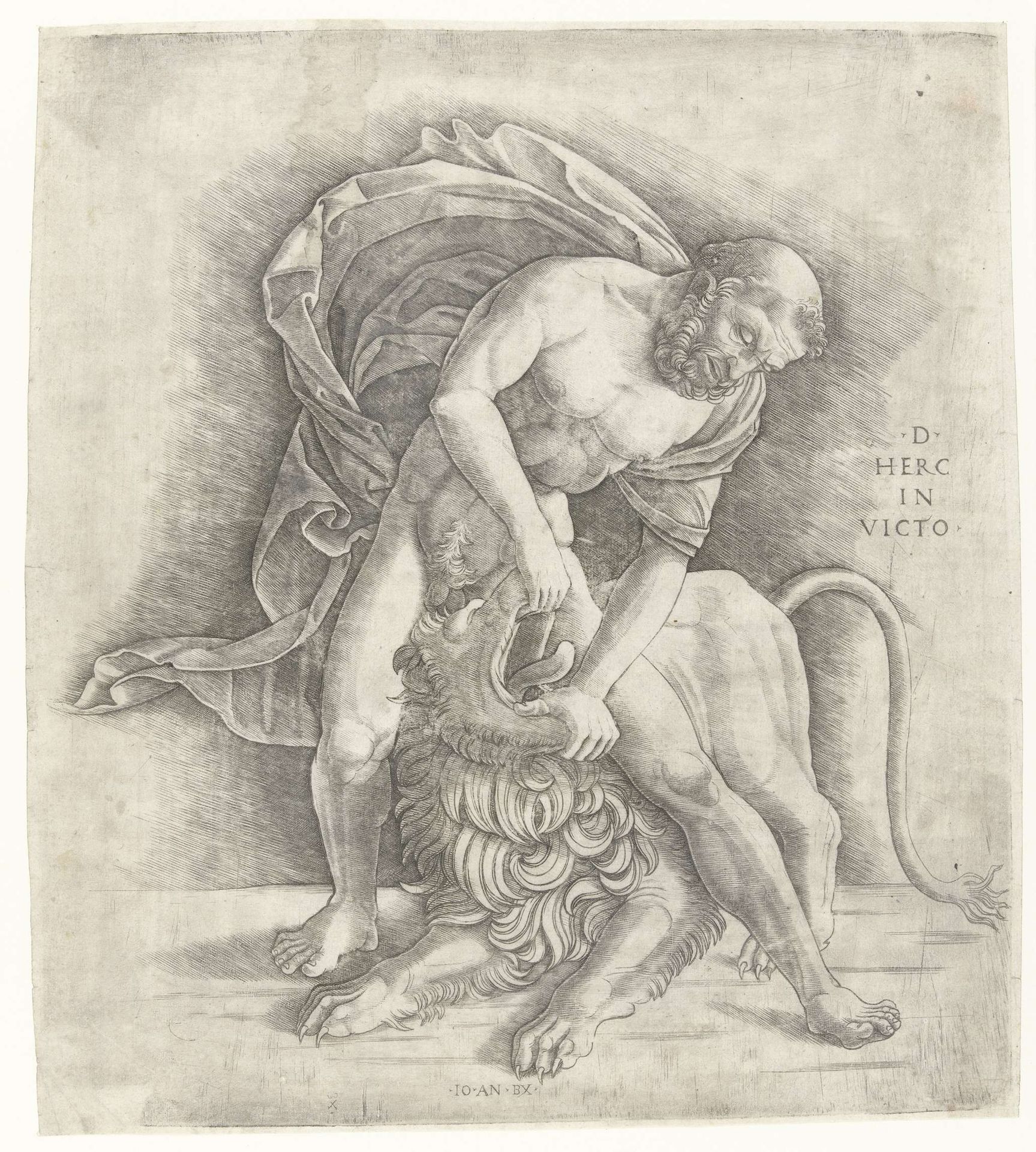 Hercules Fighting the Nemean Lion by Giovanni Antonio da Brescia