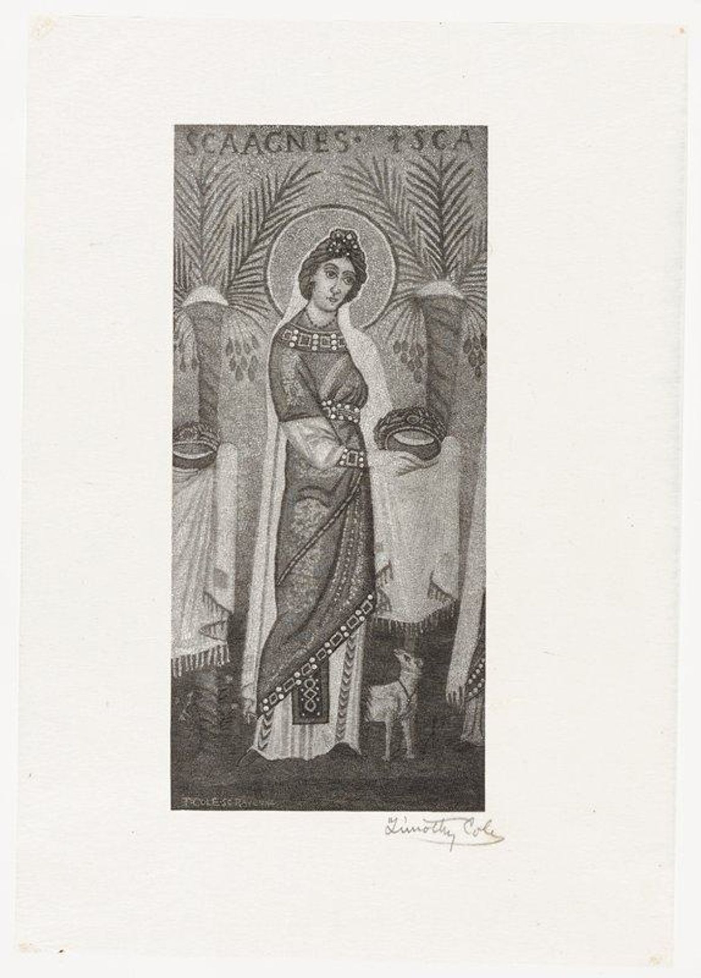 Saint Agnes by Timothy Cole