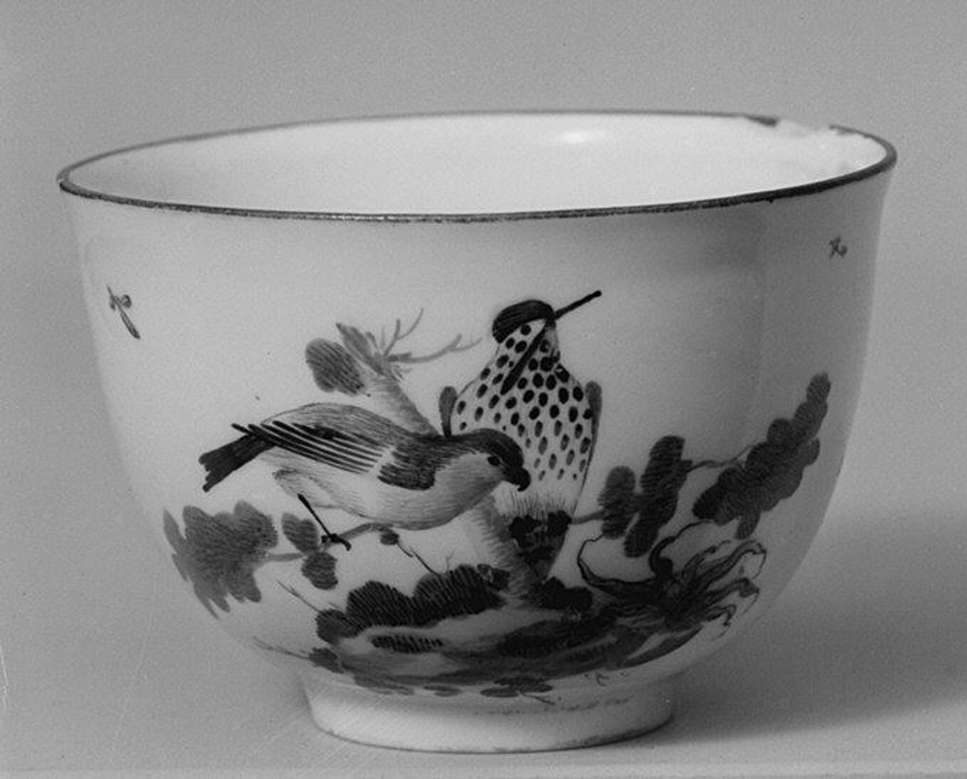 Cup (part of a service) by Frankenthal Porcelain Manufactory
