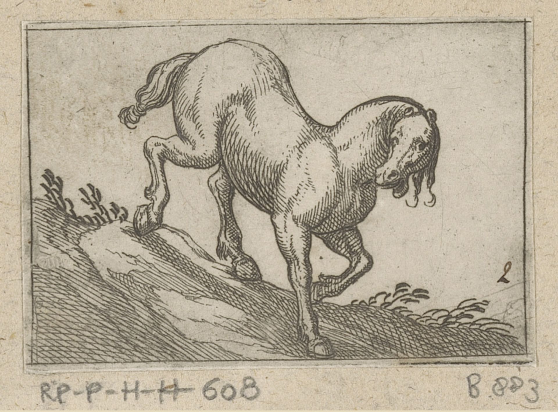 Paard van een helling aflopend by Antonio Tempesta