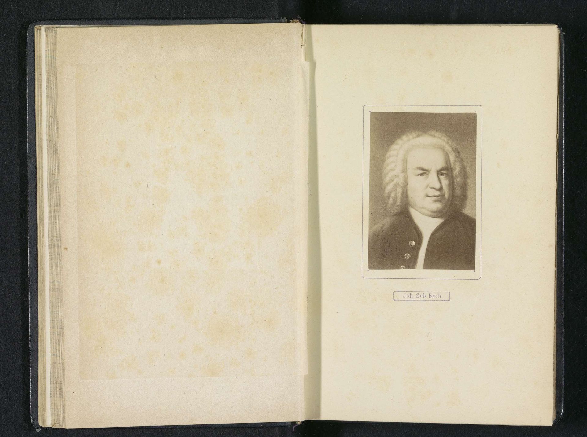 Fotoreproductie van een portret van Johann Sebastian Bach by Anonymous