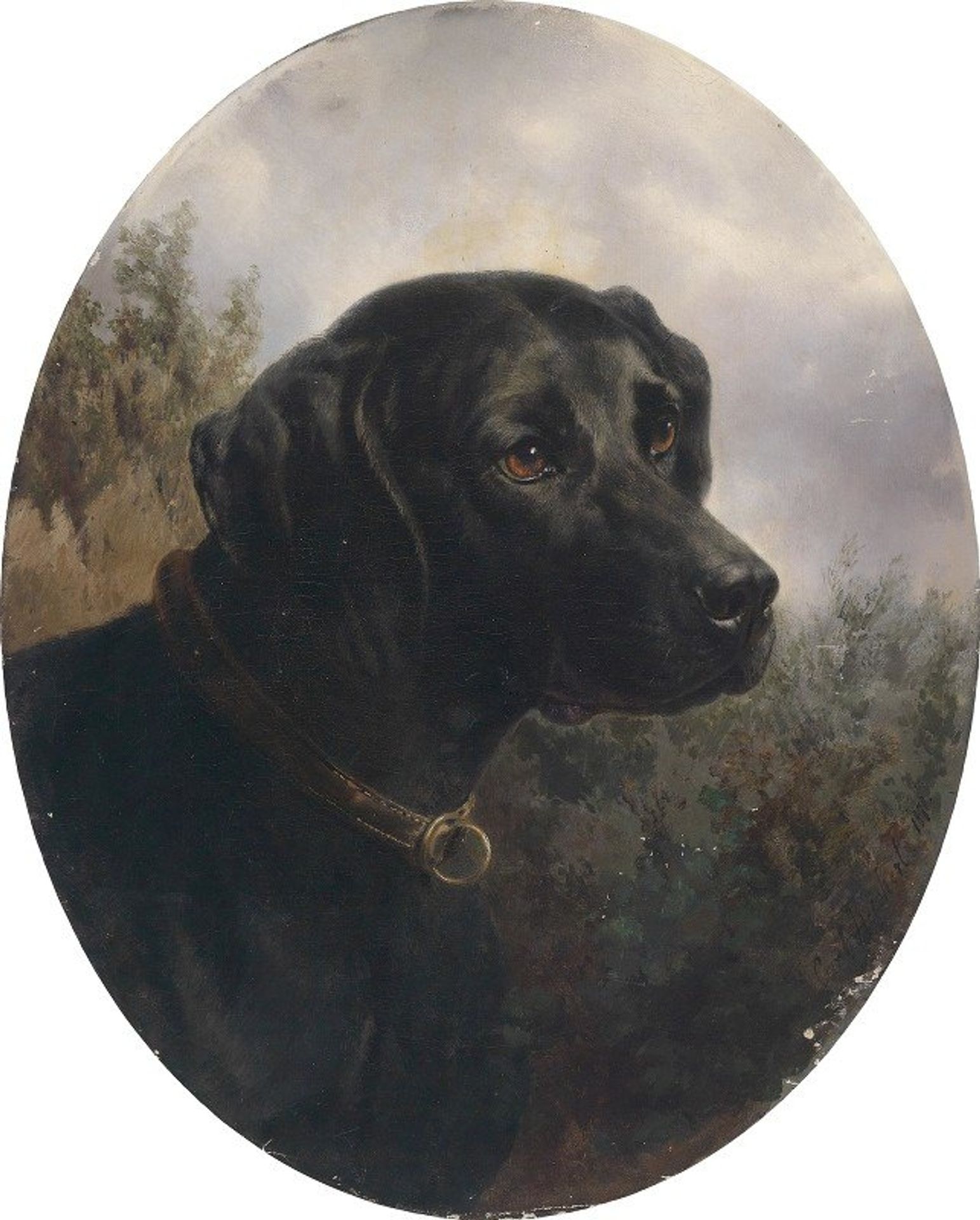 Hector by Carl Reichert