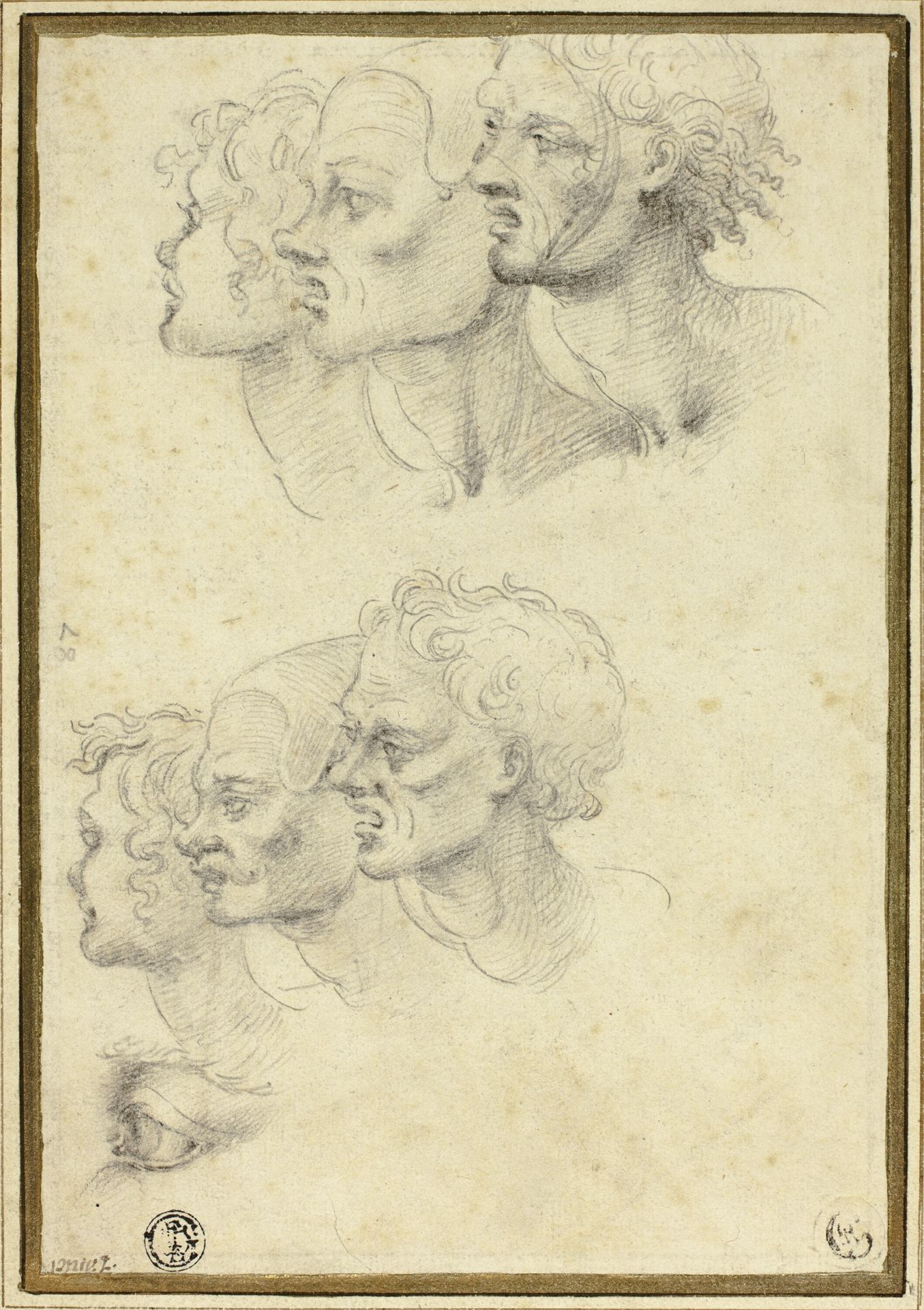 Sketches of Three Male Heads in Profile by Anonymous