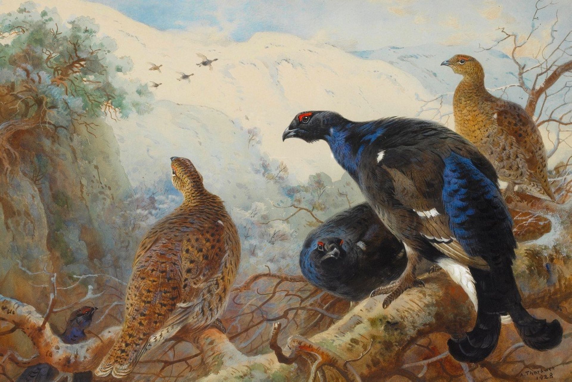 Blackgame by Archibald Thorburn