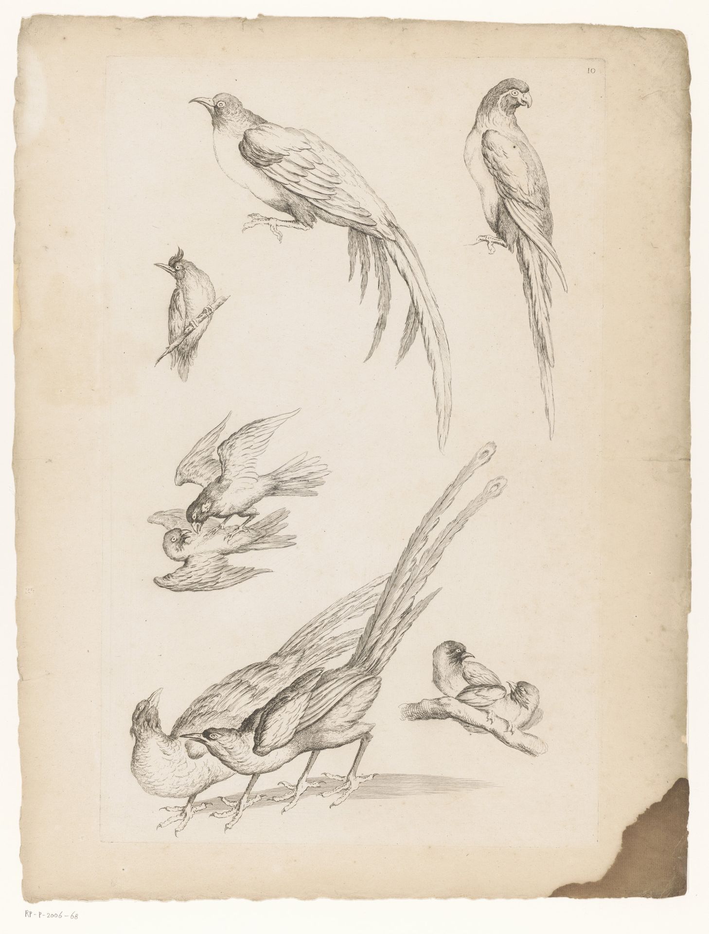 Negen Chinese vogels by Gabriel Huquier
