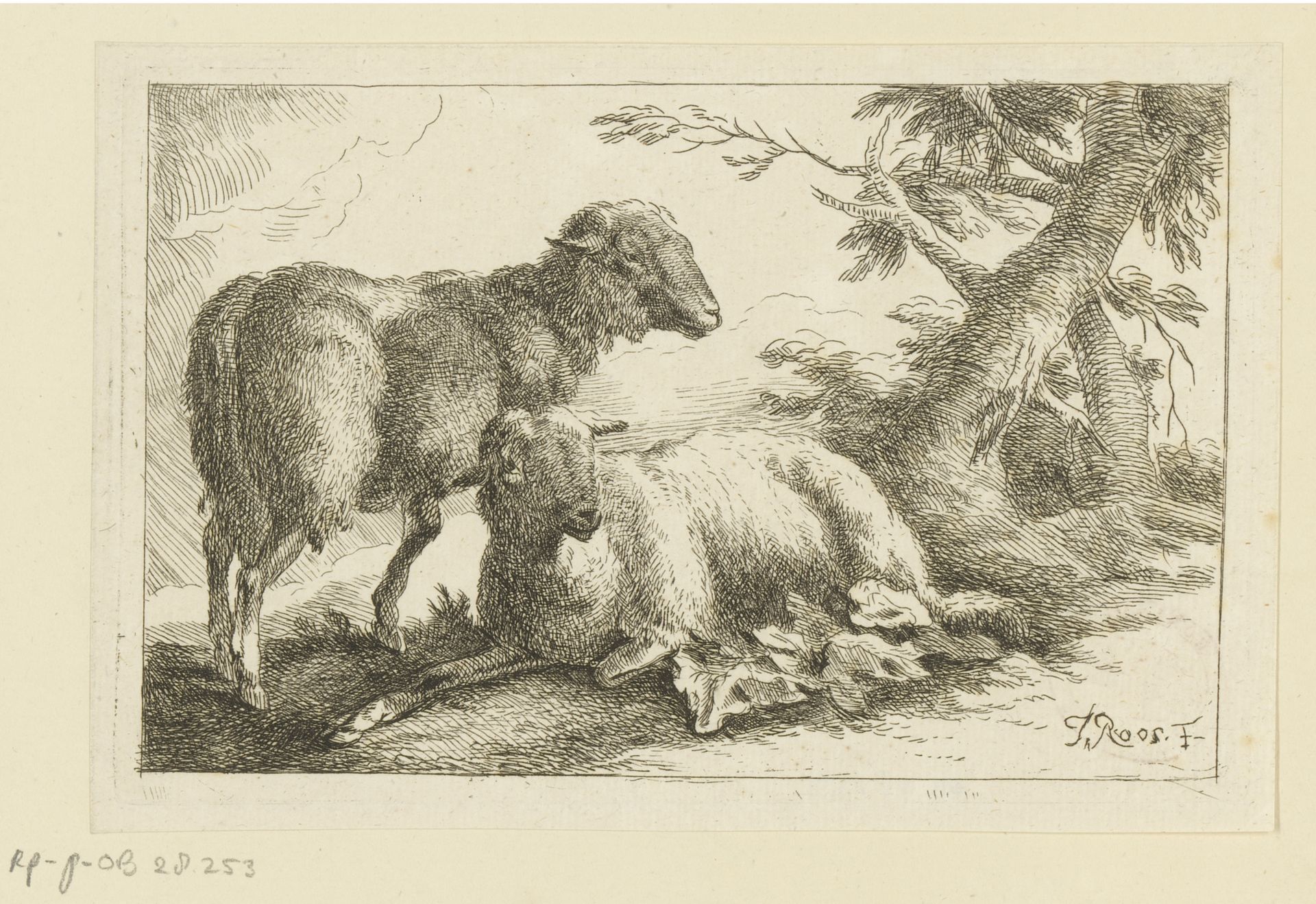 Twee schapen by Joseph (I) Roos