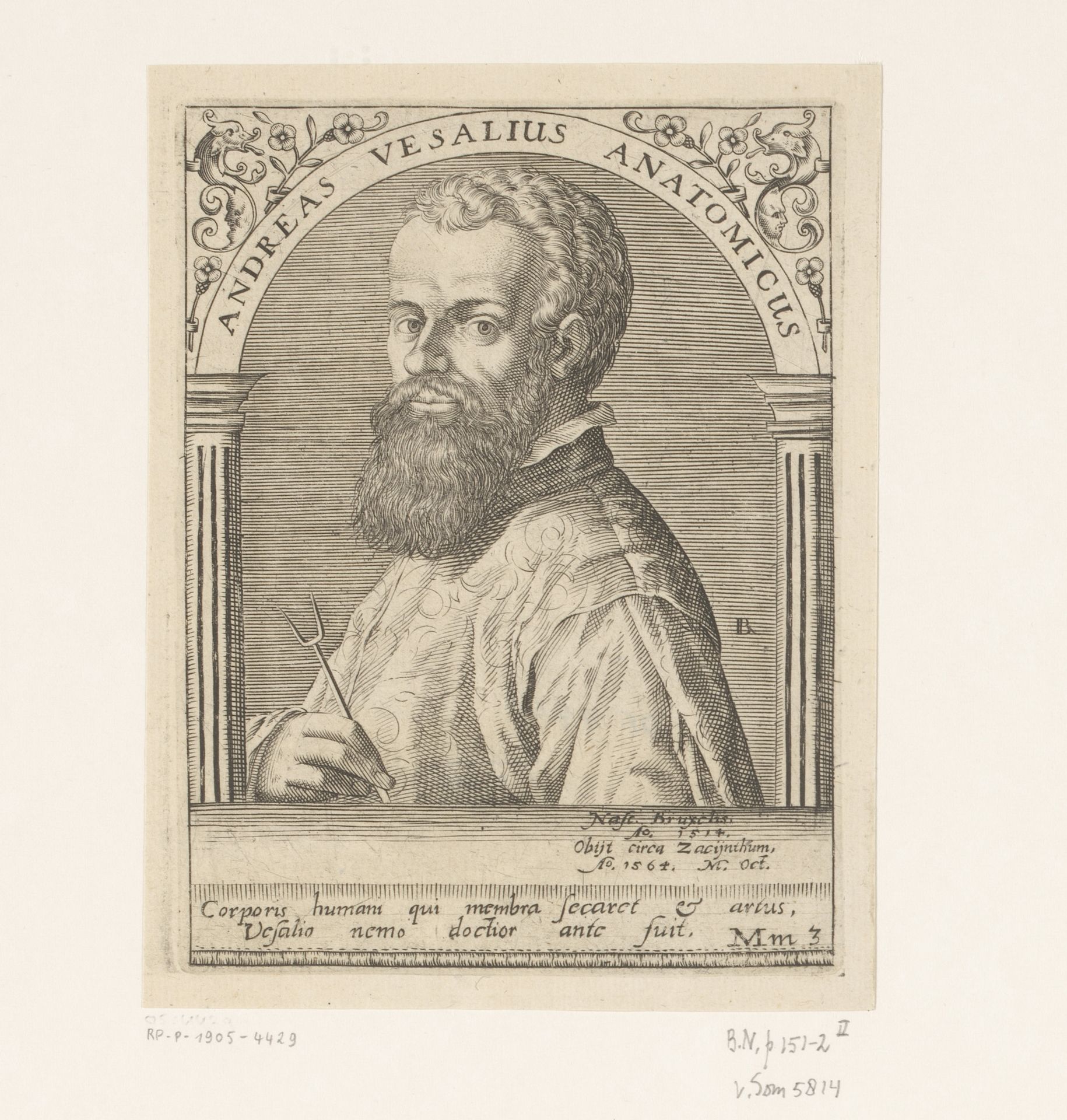 Portret van Andreas Vesalius by Robert Boissard