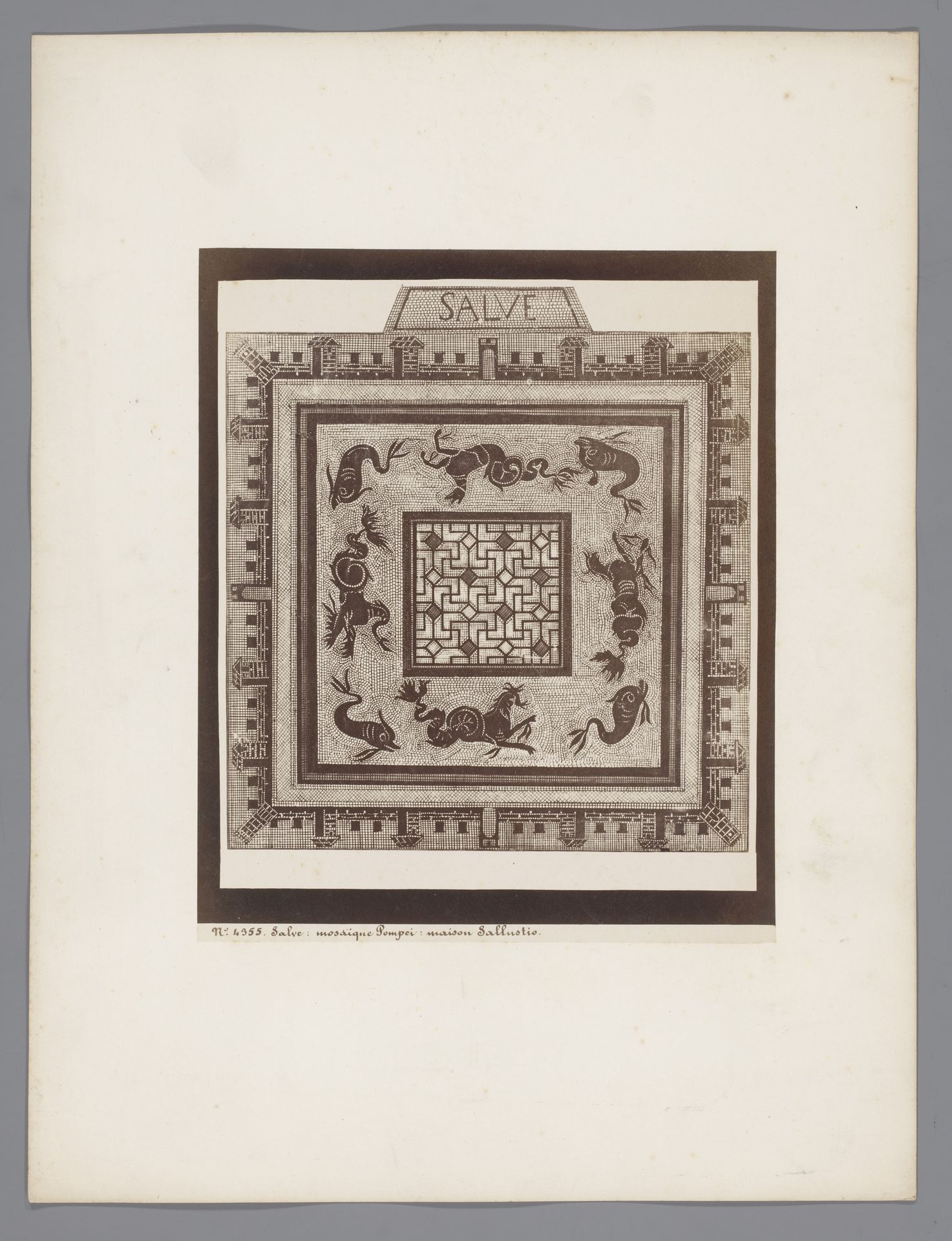 Fotoreproductie van een mozaïek in het huis van Sallustio te Pompeï, Italië by Giorgio Sommer