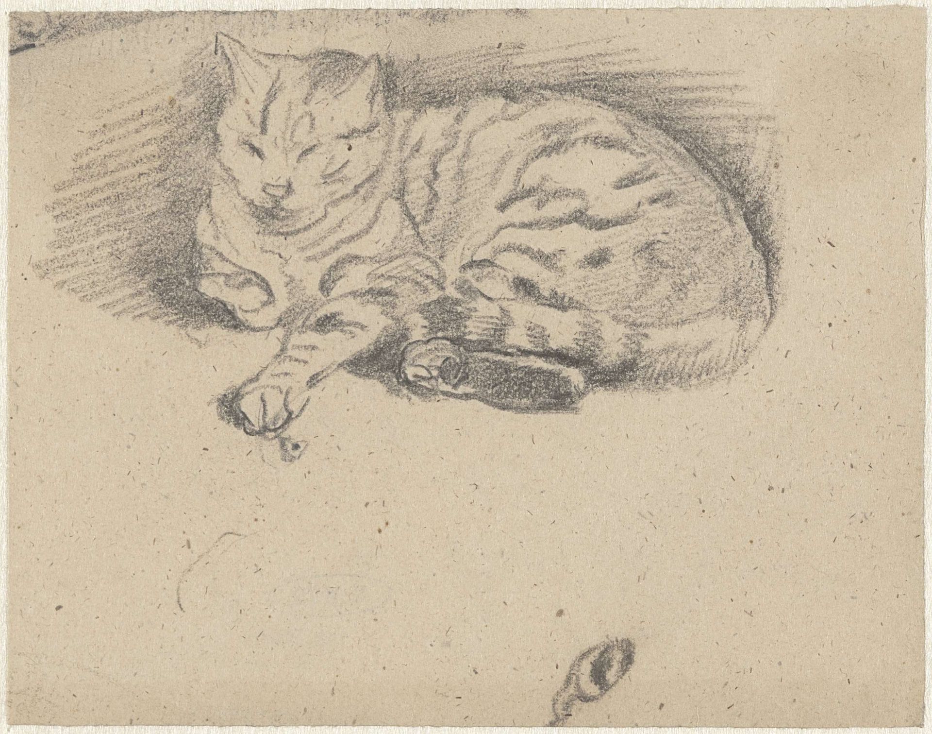 Liggende kat, met een poot naar voren by Guillaume Anne van der Brugghen