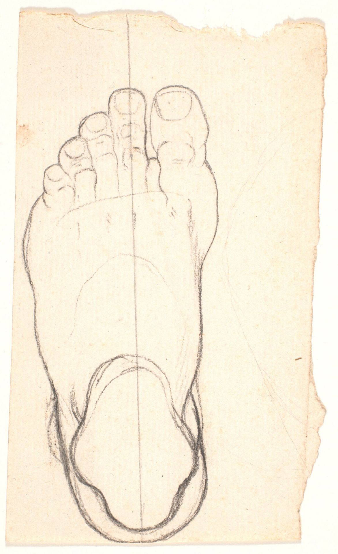 Skitse af en fod set fra oven. Hælen t.v. by Nicolai Abildgaard