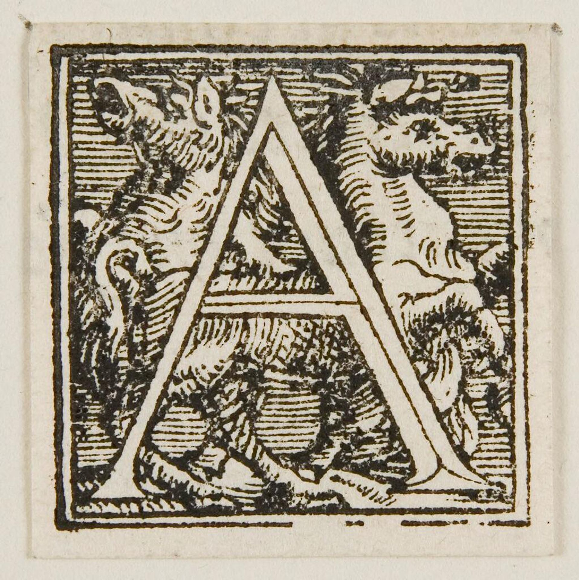 Letter A by Anonymous