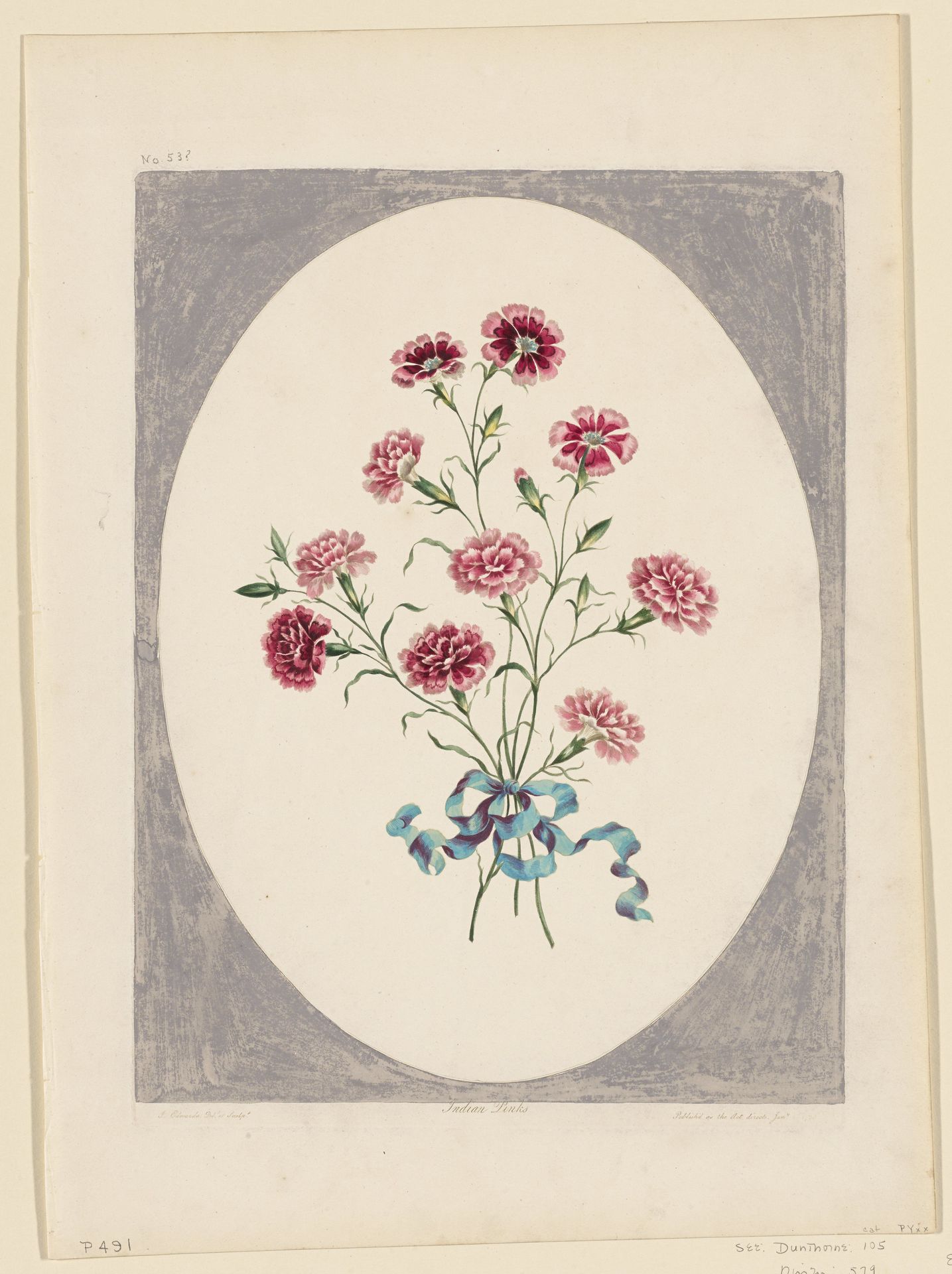 India Pinks by John Edwards