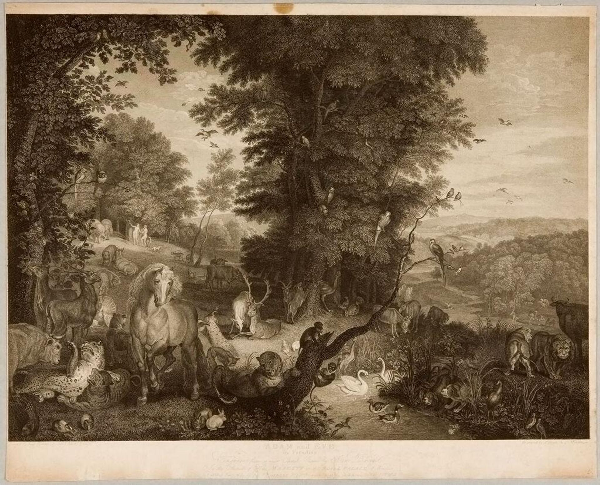 Adam and Eve in Paradise by Samuel Middiman