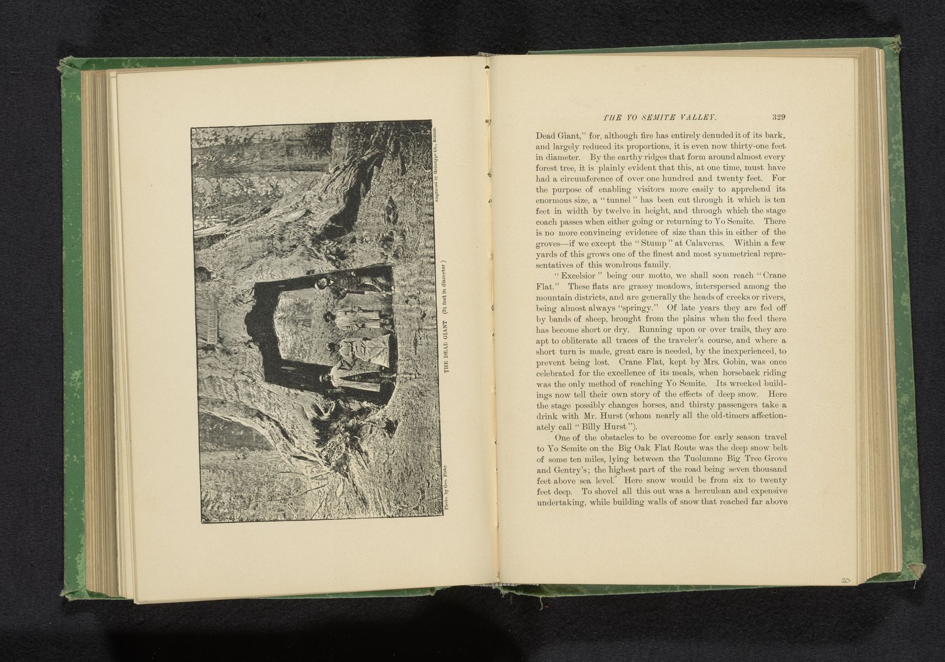 Gezicht op de Dead Giant in Tuolumne Grove, Californië by George Fiske