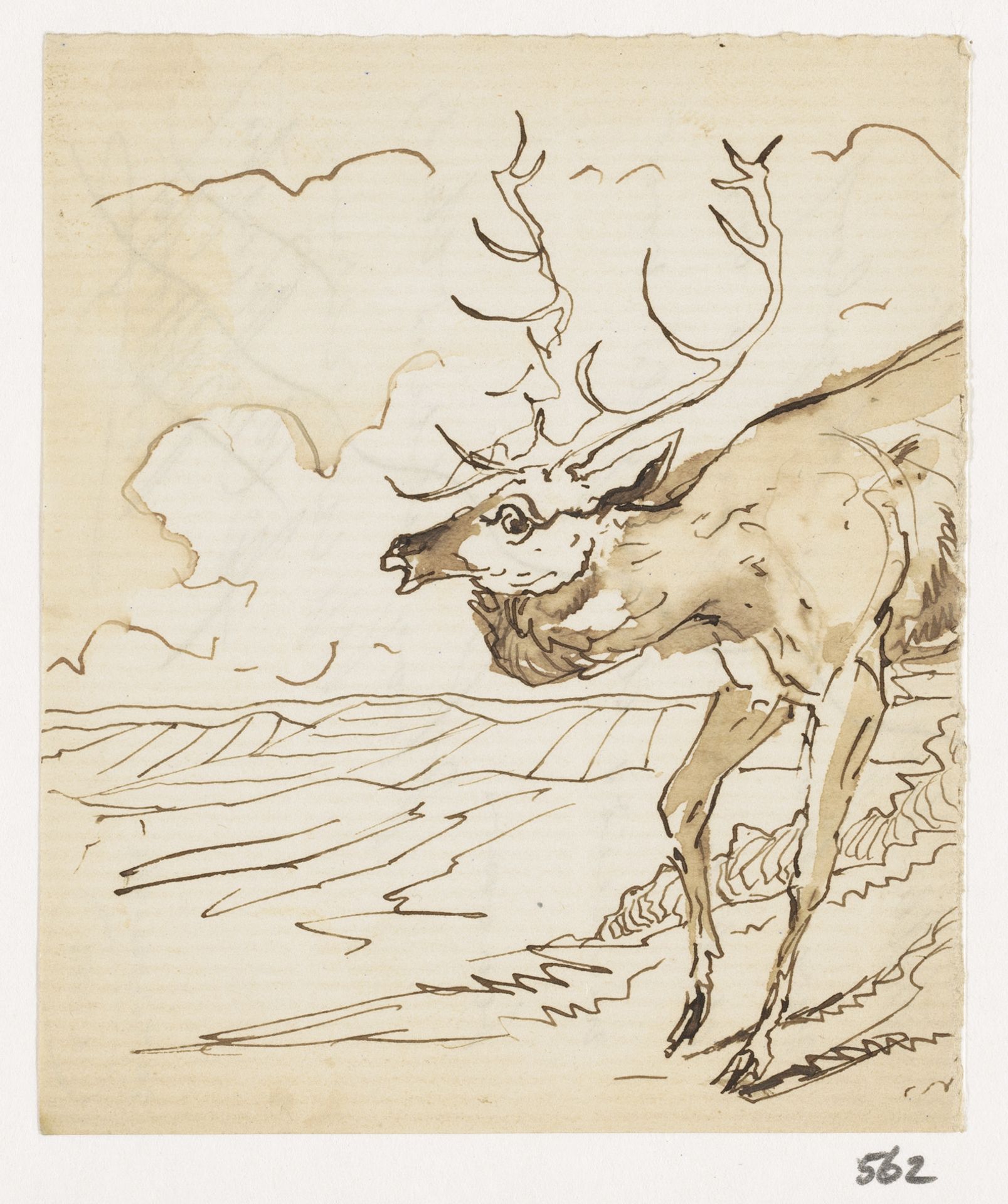 Hert by Johannes Tavenraat