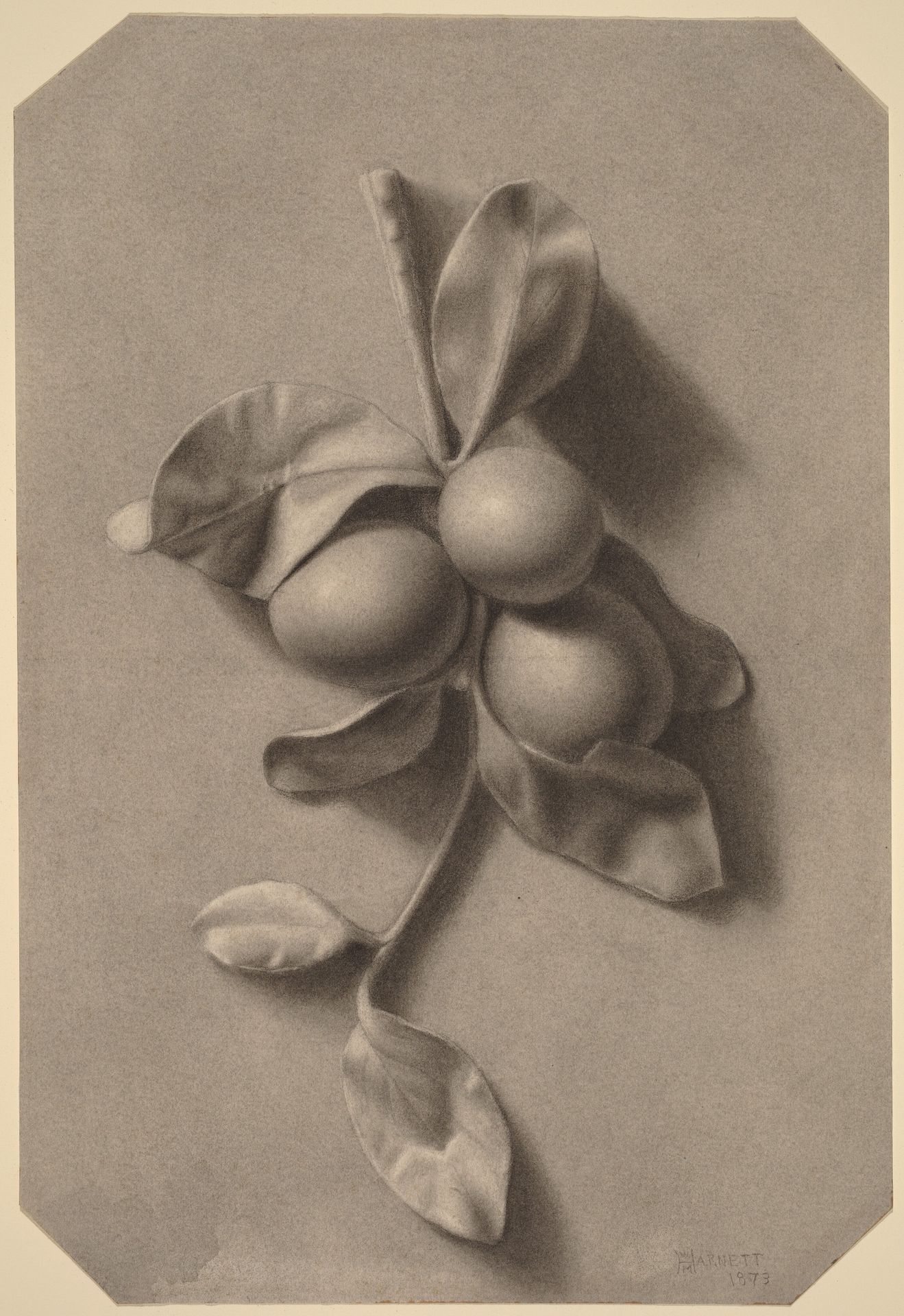 A Sprig of Plums by William Michael Harnett