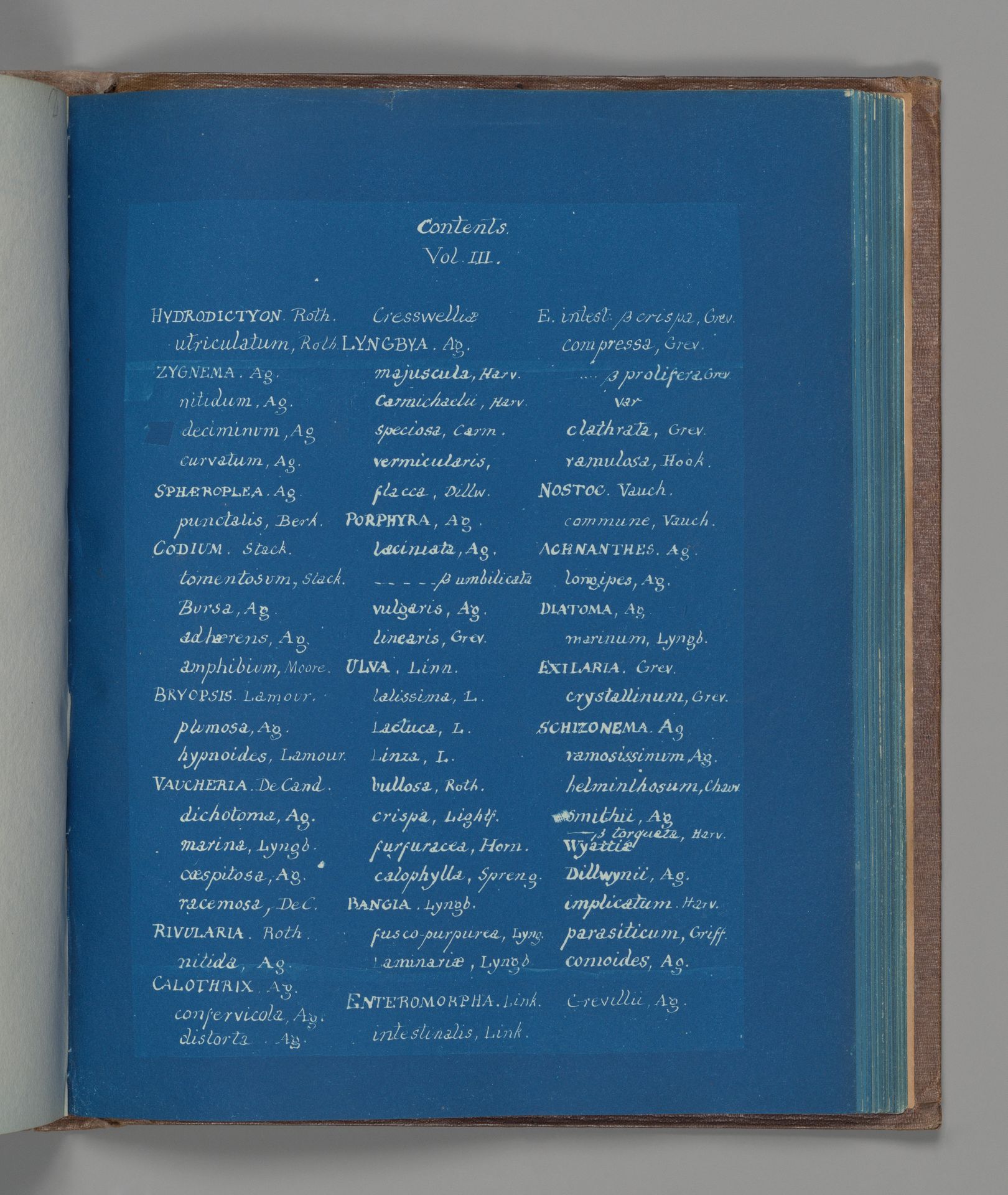 Contents, Vol. III by Anna Atkins