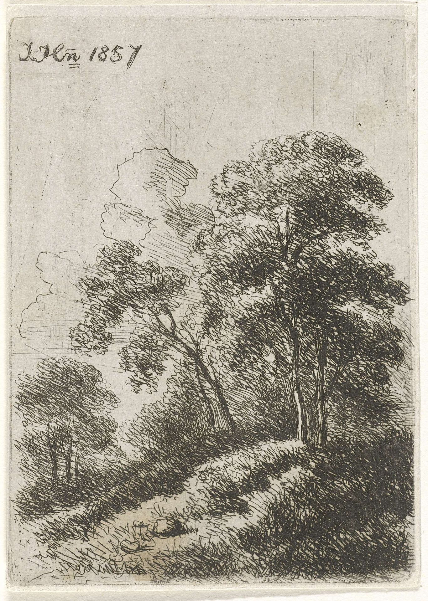 Bomen op een heuvel by Hendrik Jan Hein