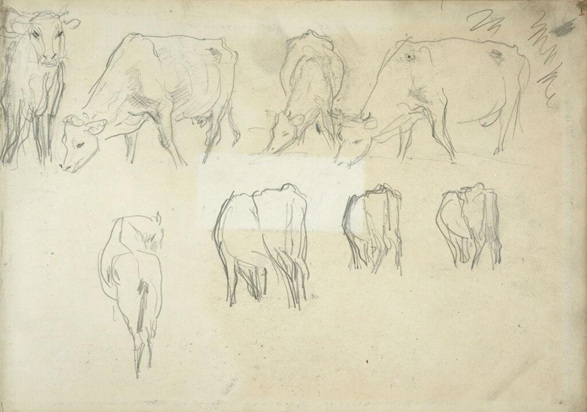 Studies of Cows by John Singer Sargent