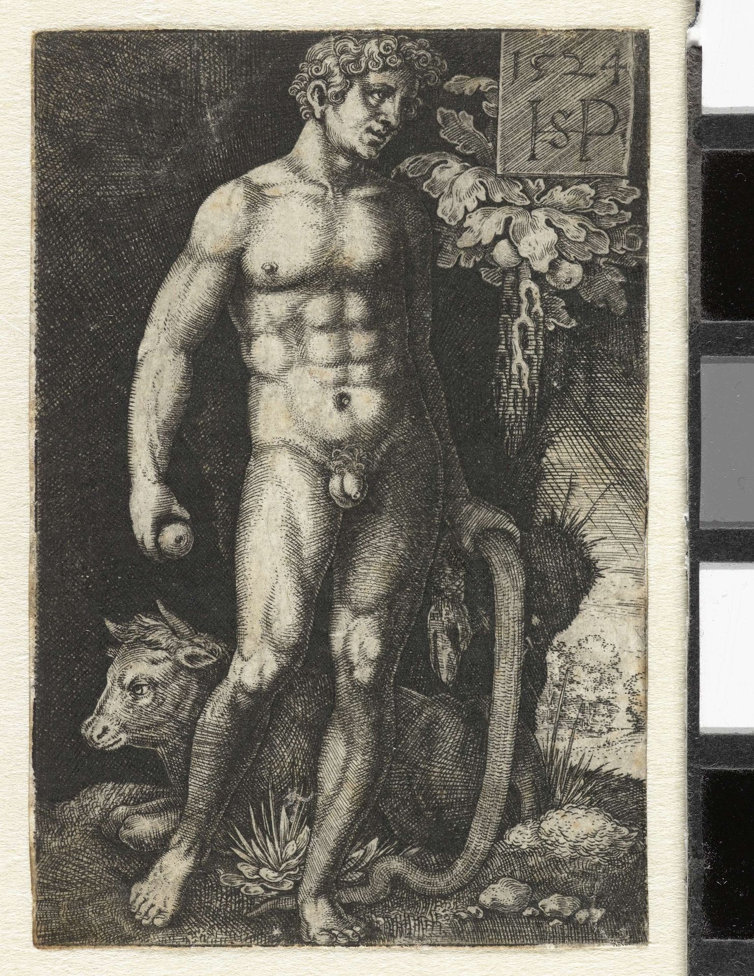 Adam met slang en appel en liggende stier by Sebald Beham
